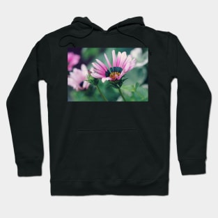 Gazania and Bud Hoodie